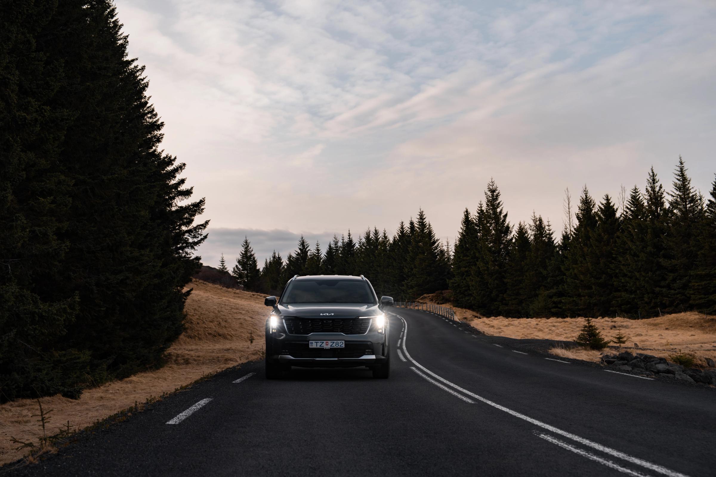 Route forestière de Sorento Vue de face d’un Kia Sorento 4x4 de location en Islande, roulant sur une route goudronnée à travers la forêt