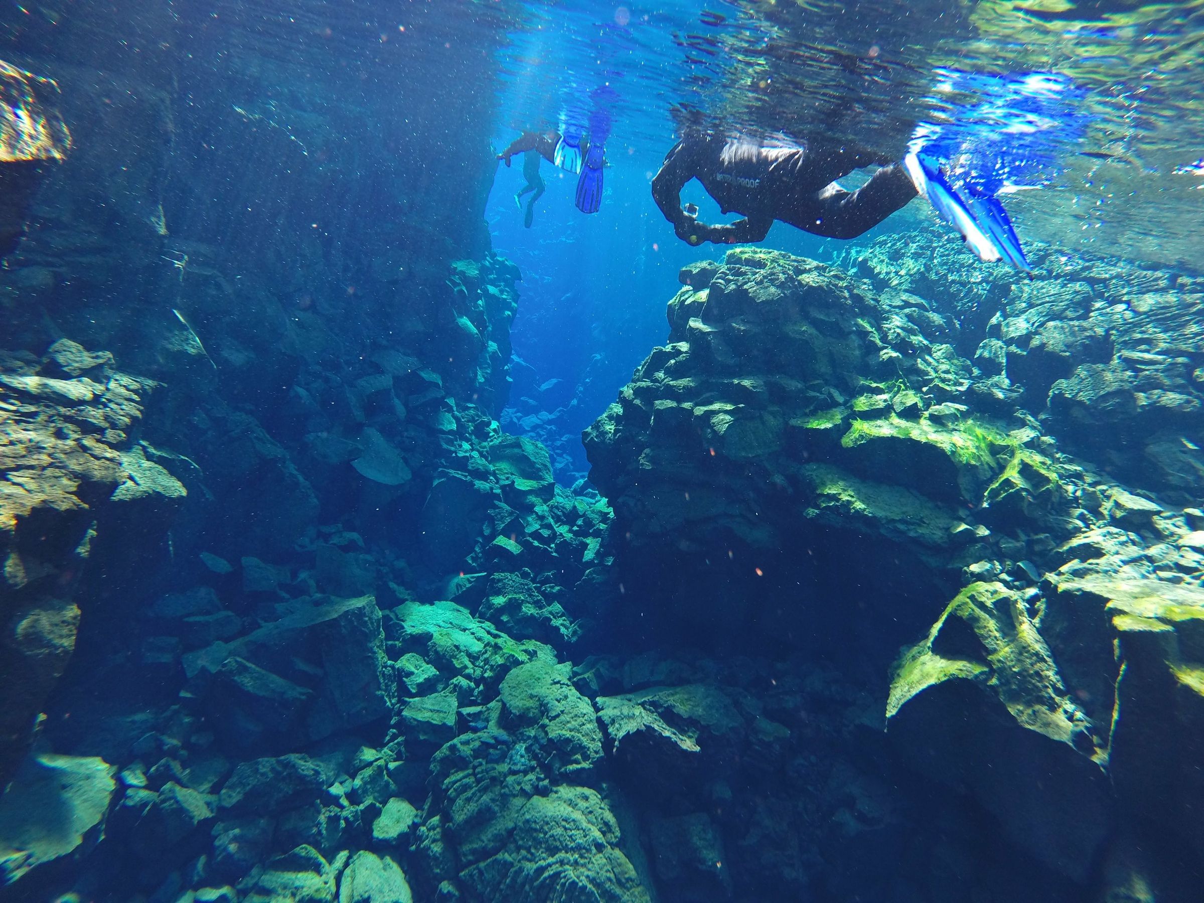 Two people snorkeling in Silfra