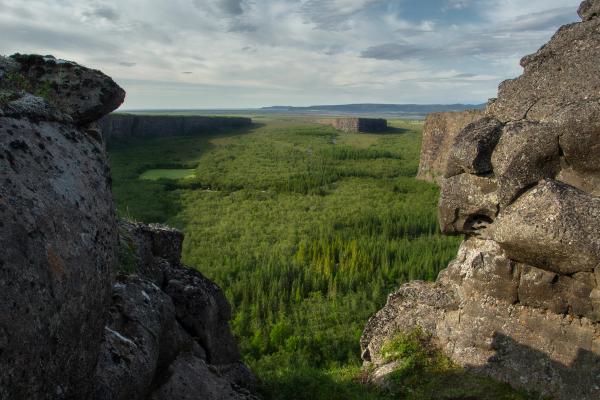 View of a massive canyon with a big forest in the low part