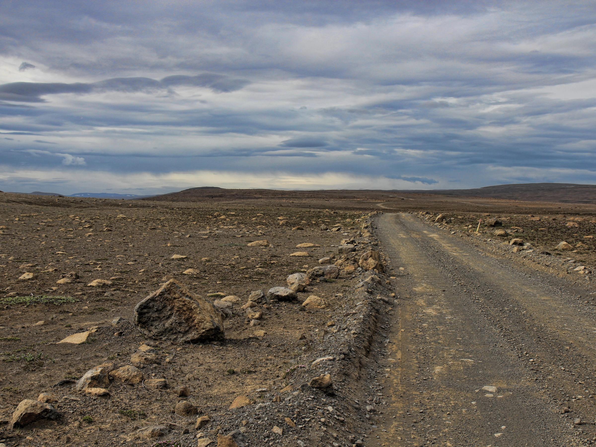 a dirt road in the middle of a desert .
