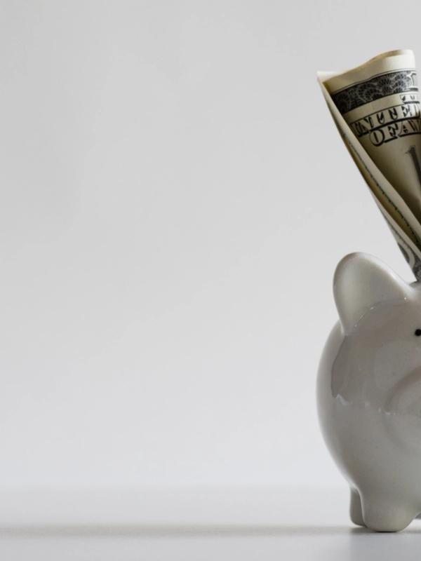 a piggy bank with a bunch of money sticking out of it .