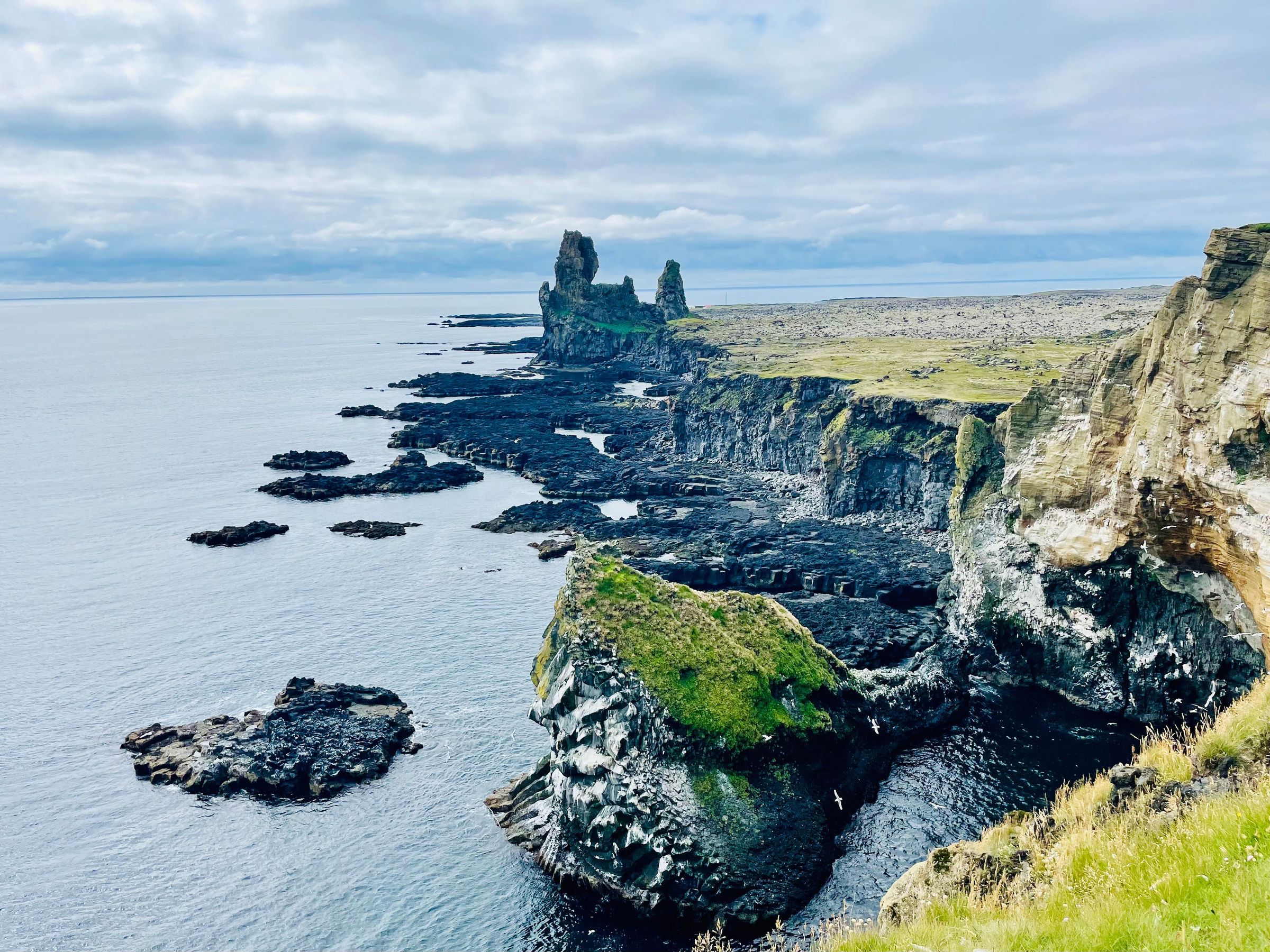 a cliff overlooking the ocean with a castle in the distance .