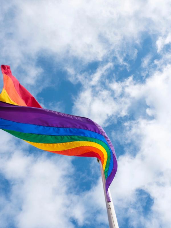 Gay pride flag in Iceland The gay pride flag flies in the Icelandic wind