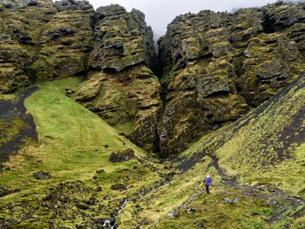 estrecho cañon en una montaña cubierta de musgo verde