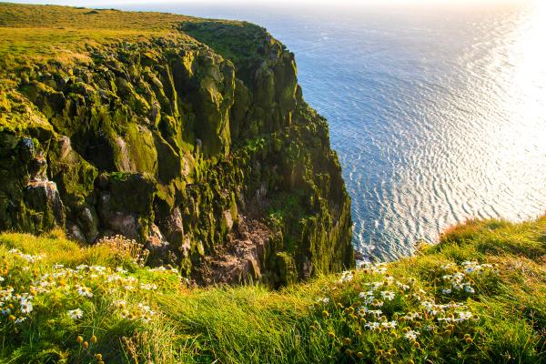 a green cliff next to the sea