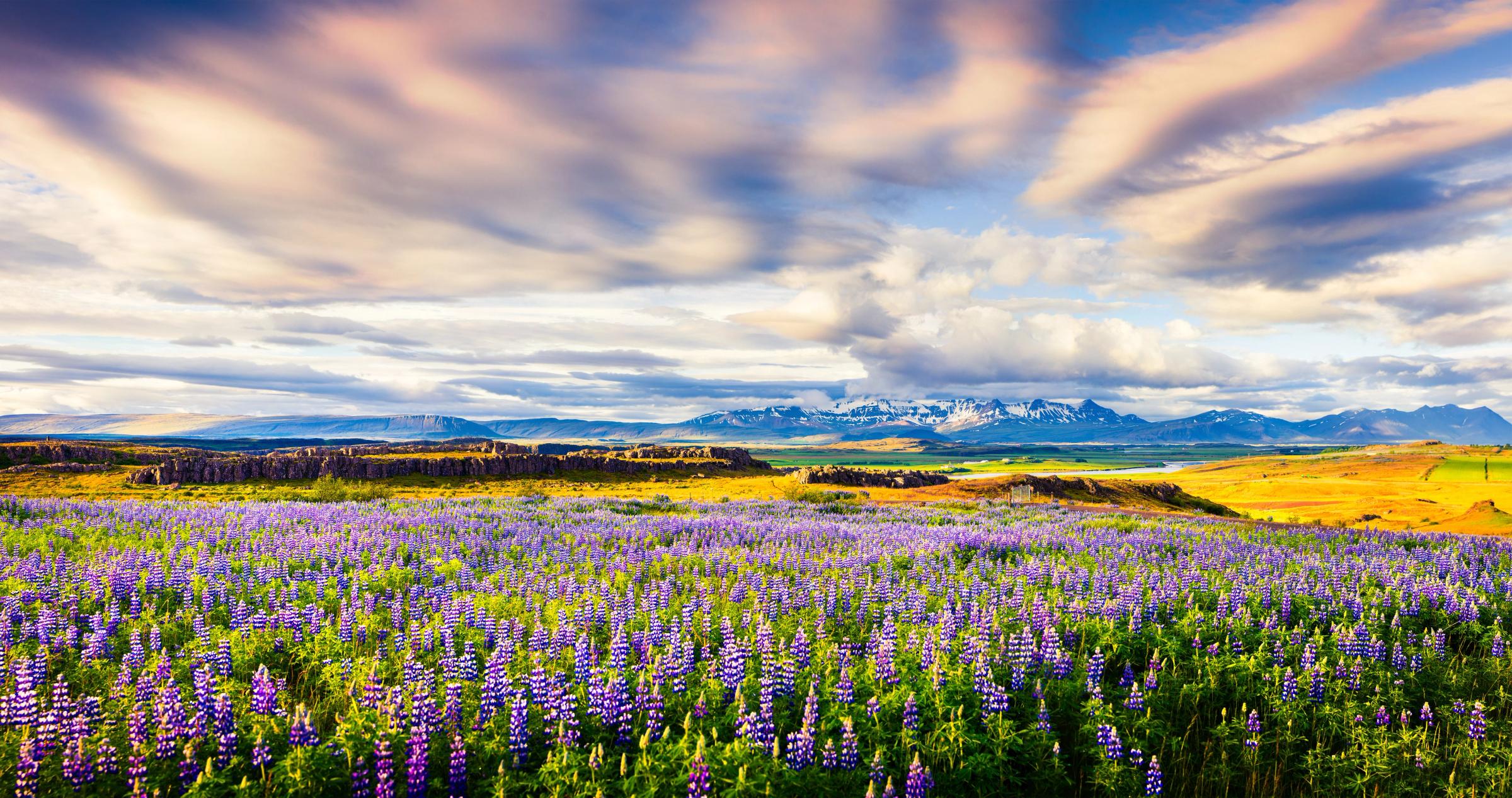 Weather in Iceland in June: What to Expect in 2026
