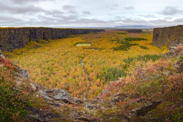 a panoramic view of a Ásbyrgi Canyon filled with trees and rocks .