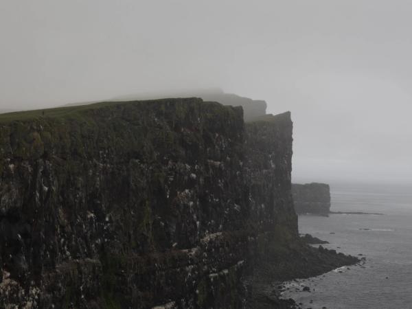 landscape with cliffs over the sea on a foggy day
