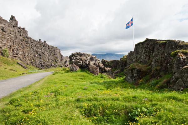 a flag is flying in the middle of a field next to a road .