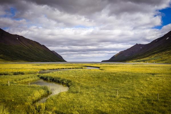un valle verde con un río en medio