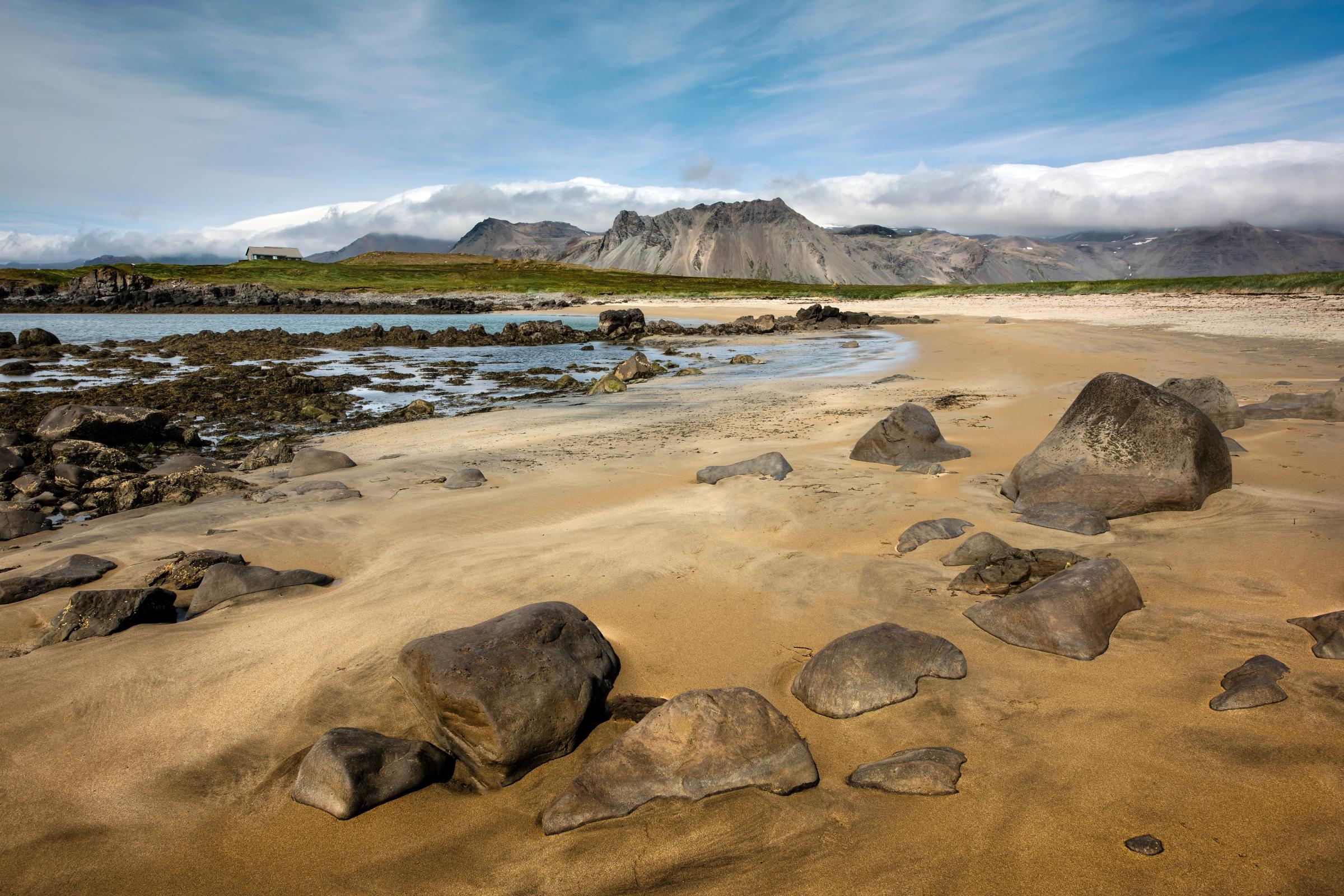 Guide to Ytri Tunga Beach: A Seal Watching Paradise in Iceland