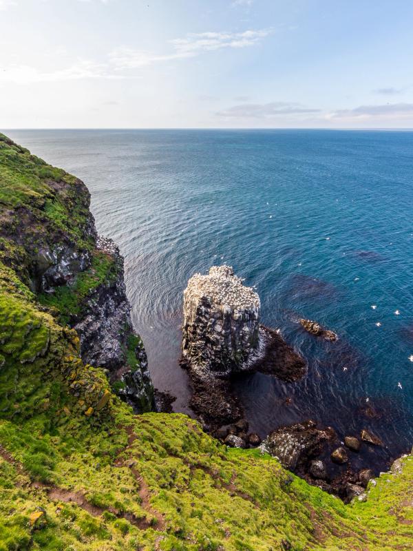 Acantilado Skoruvikurbjarg en Langanes, Islandia