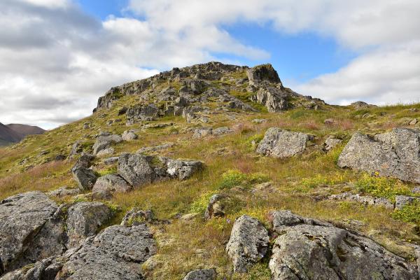 una ladera rocosa cubierta de hierba y rocas con una montaña al fondo.