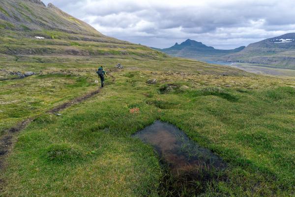 Hornstrandir Nature Reserve Trail