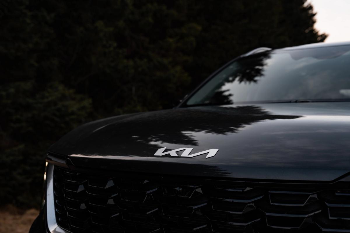 Gros plan sur l’emblème du capot et la calandre avant d’un Kia Sorento, avec le reflet des arbres