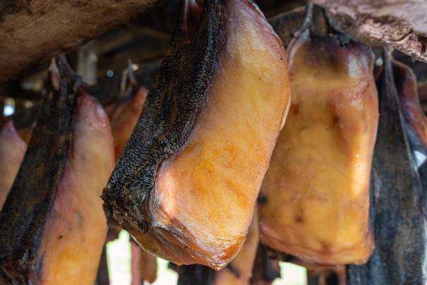 a close up of a bunch of meat hanging from a tree .