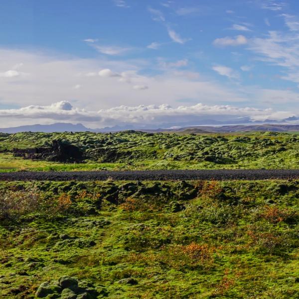 a white van is driving down a road through a grassy field .
