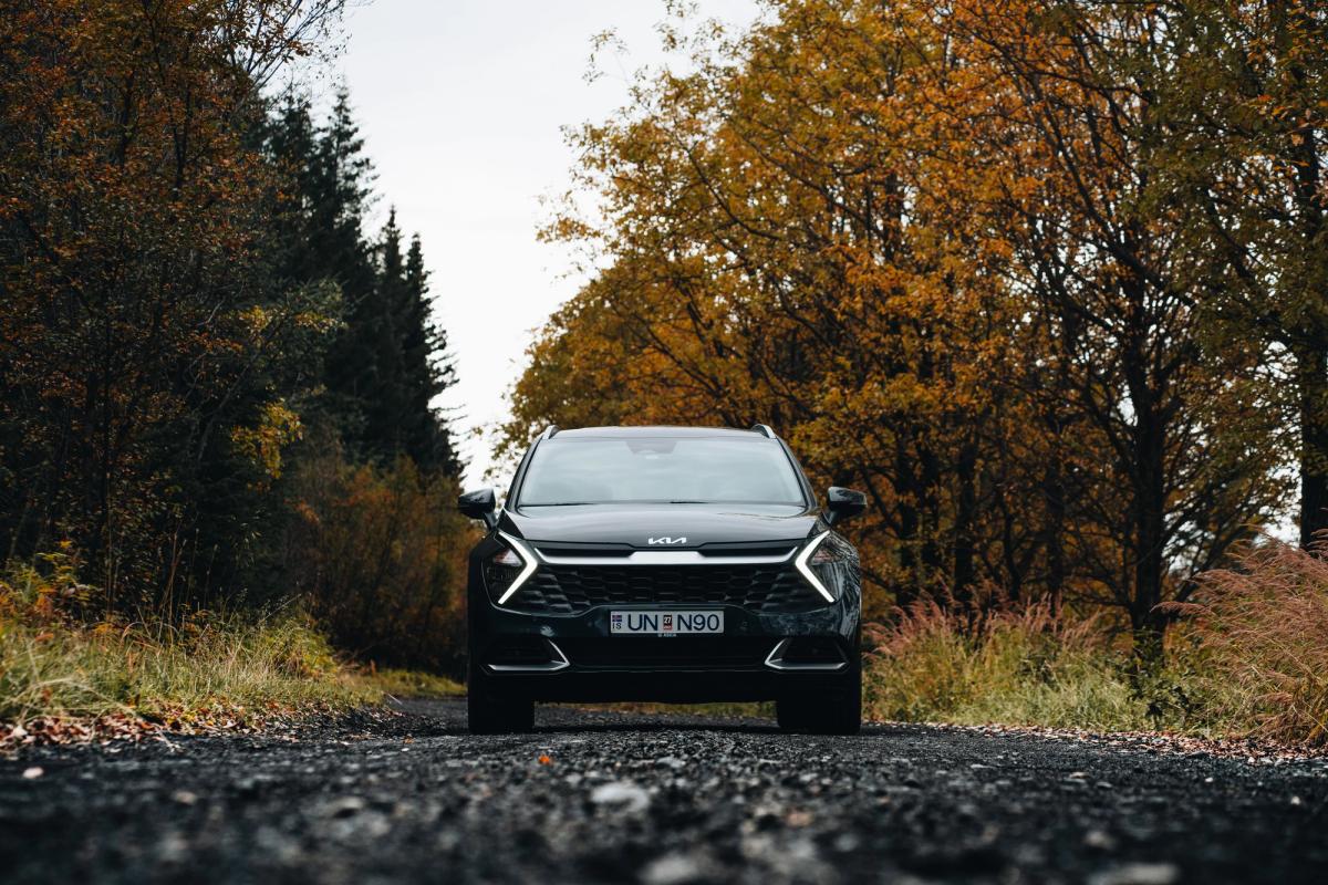 Kia Sportage bílaleigubíll á Íslandi á malarvegi, umlukinn trjám í haustlitum