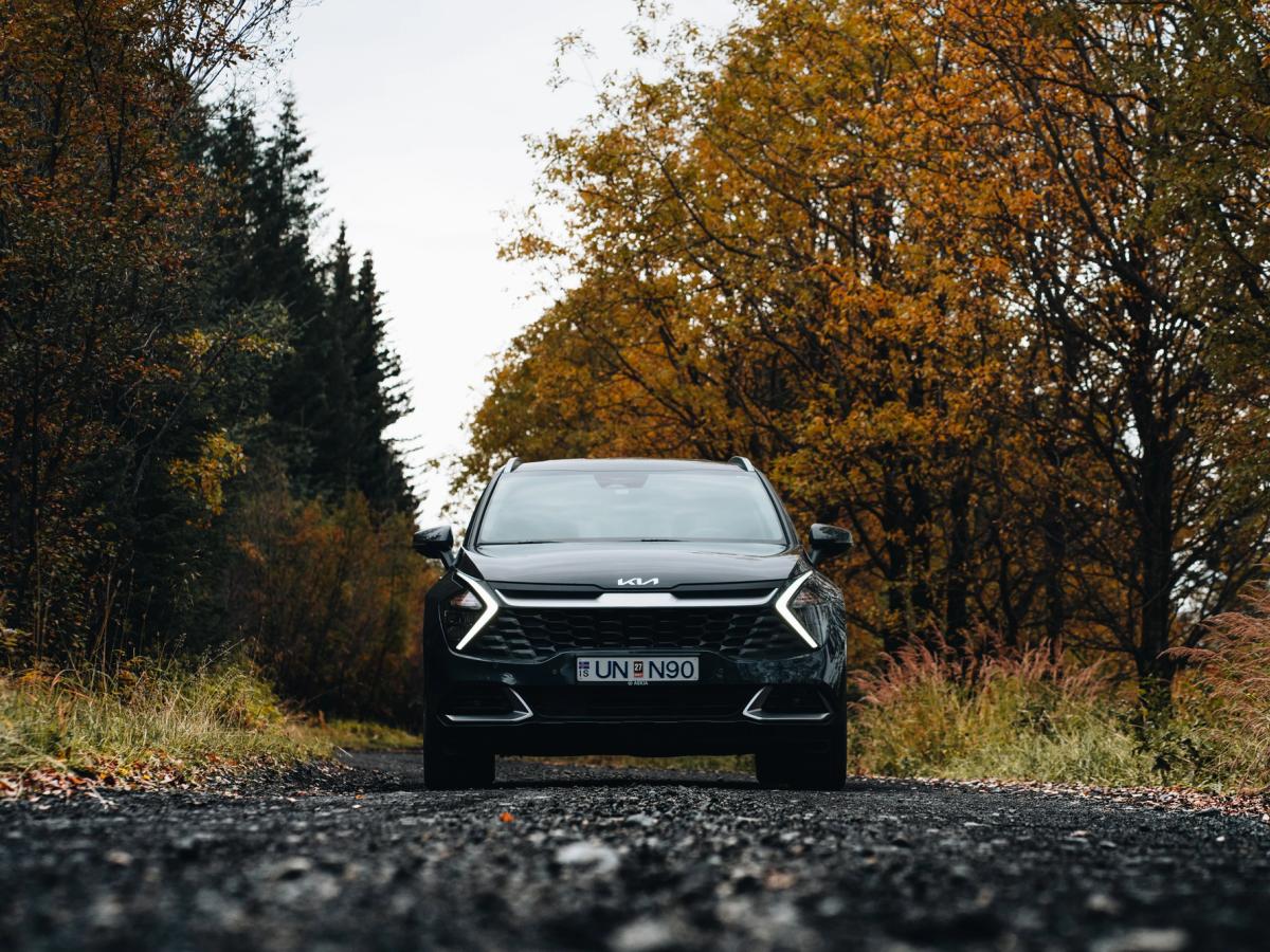 Sportage að framan Kia Sportage bílaleigubíll á Íslandi á malarvegi, umlukinn trjám í haustlitum