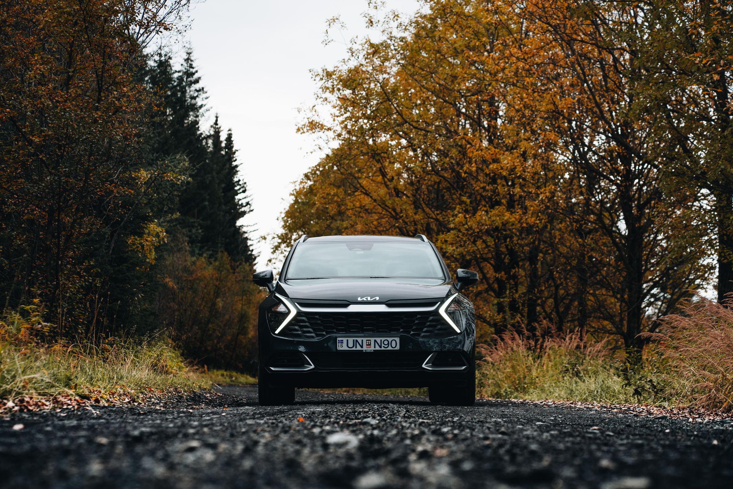Sportage að framan Kia Sportage bílaleigubíll á Íslandi á malarvegi, umlukinn trjám í haustlitum
