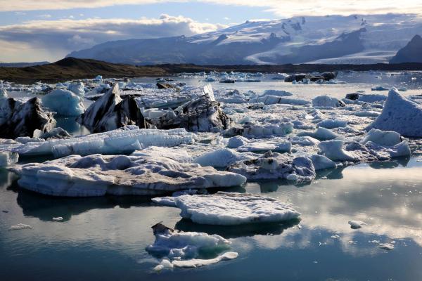 La Laguna Glacial Jökulsárlón