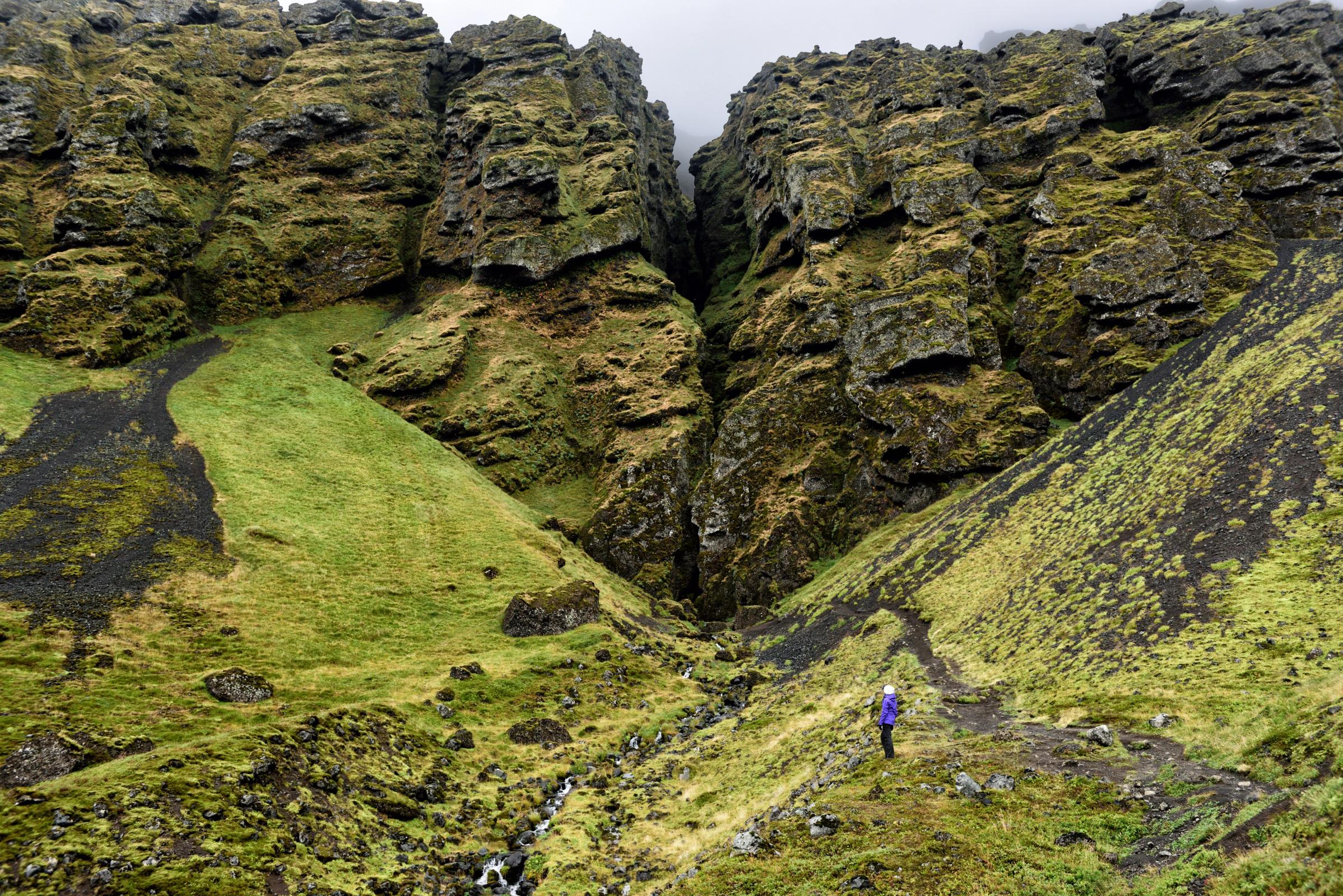 A person on a trail in a green, rocky valley with a narrow gorge between moss-covered cliffs.