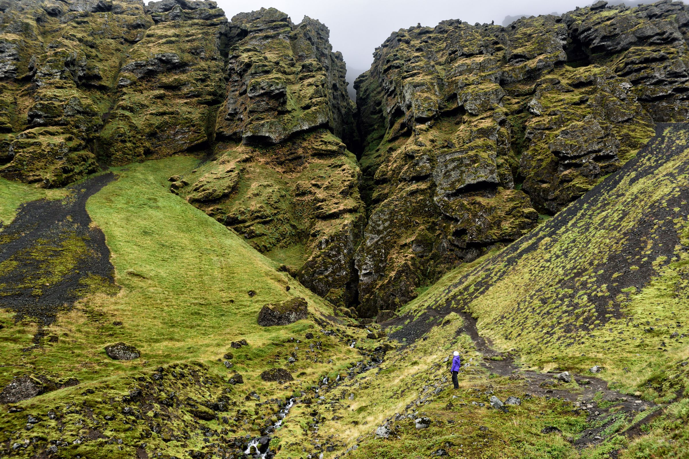 A person on a trail in a green, rocky valley with a narrow gorge between moss-covered cliffs.