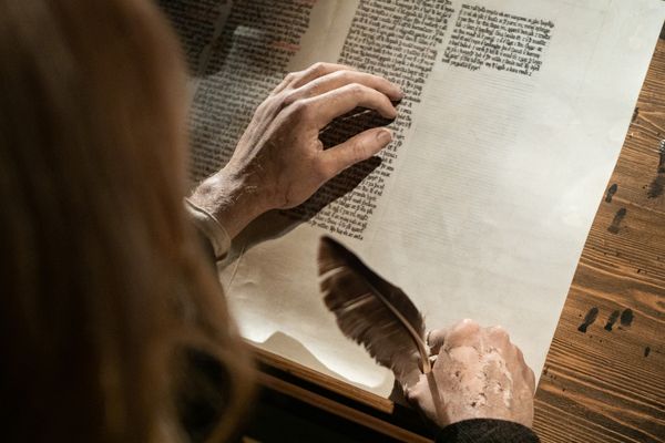 a person is writing on a piece of paper with a feather pen .