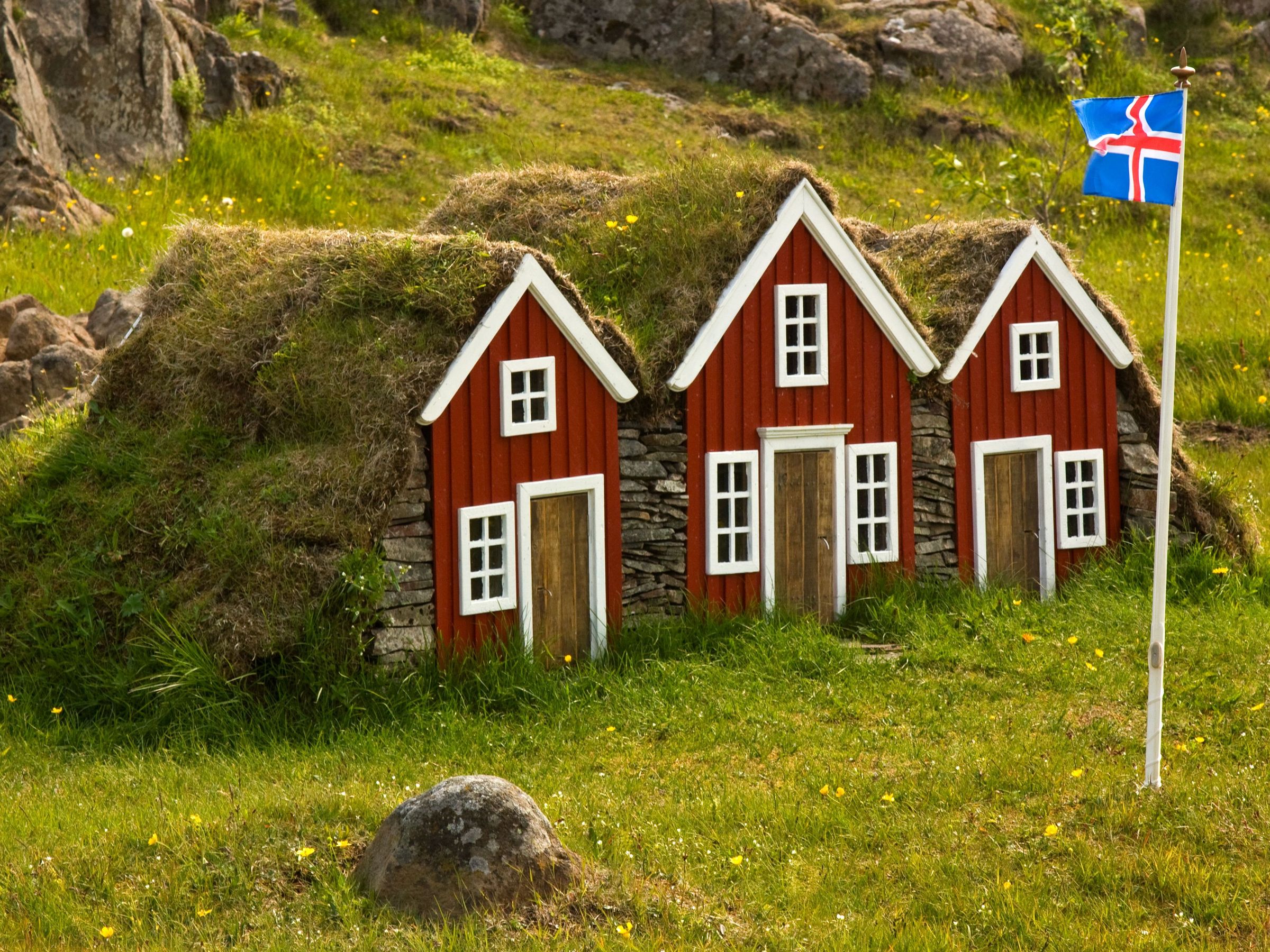 three small red houses are sitting on top of a grassy hill next to a flag .