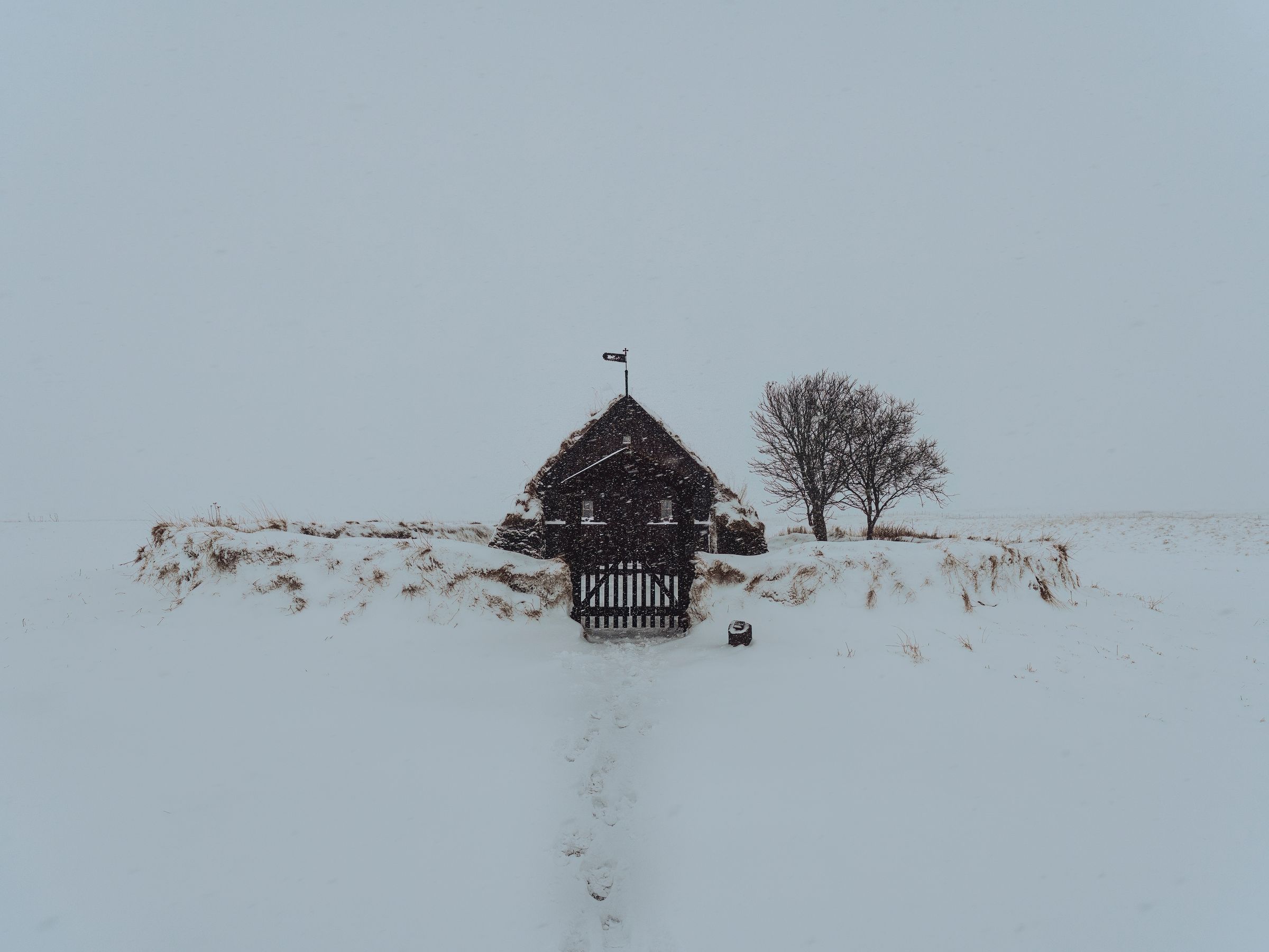 Un edificio oscuro con techo de césped, una puerta y un árbol desnudo en un campo desolado y cubierto de nieve con copos cayendo.