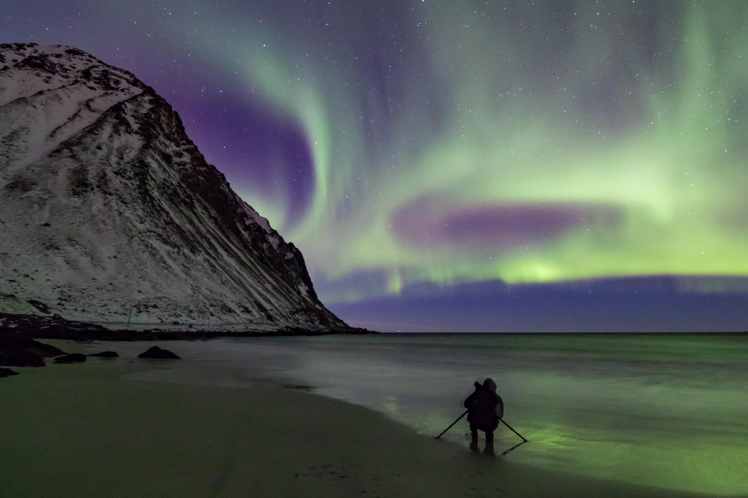 a person is standing on a beach under the aurora borealis .