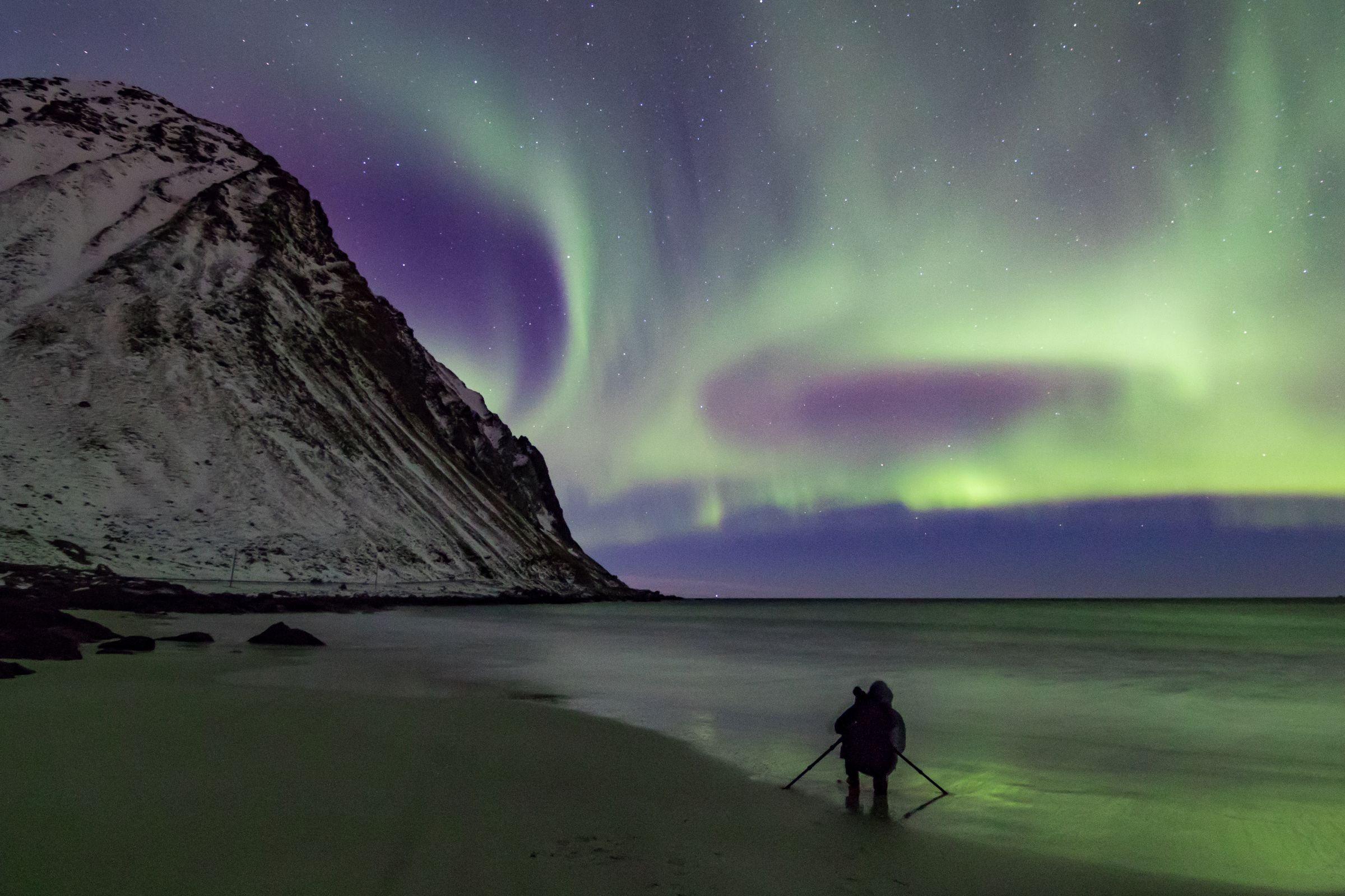 a person is standing on a beach under the aurora borealis .