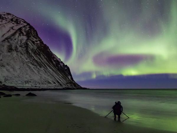 a person is standing on a beach under the aurora borealis .