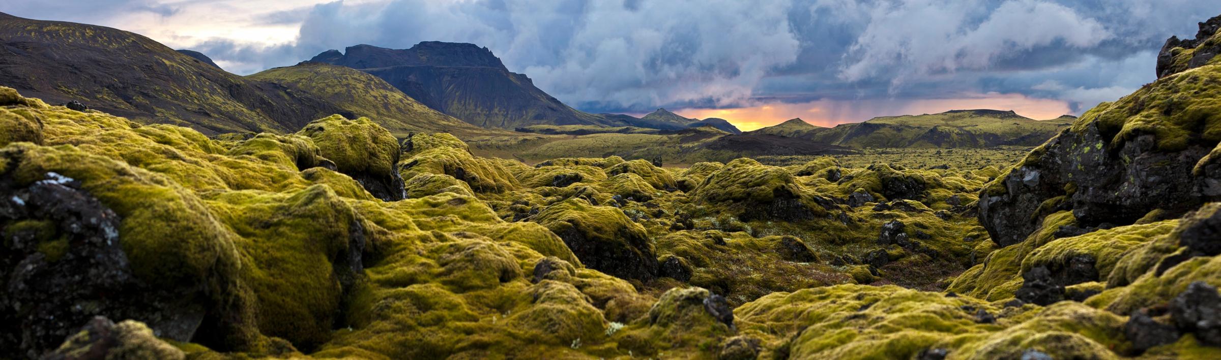 Panoramic view of a vibrant green mossy landscape with distant mountains under a dramatic sunset sky.
