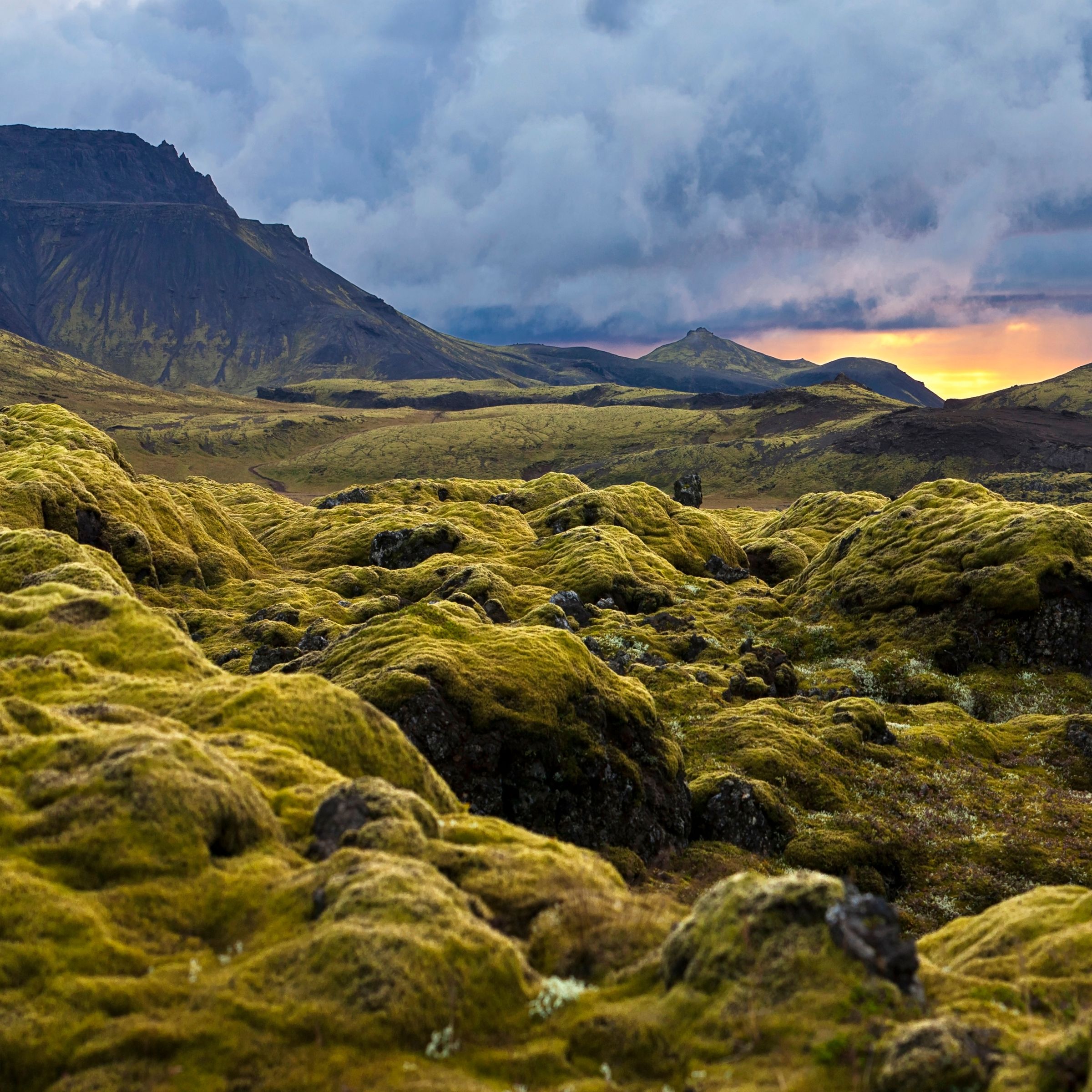 Panoramic view of a vibrant green mossy landscape with distant mountains under a dramatic sunset sky.