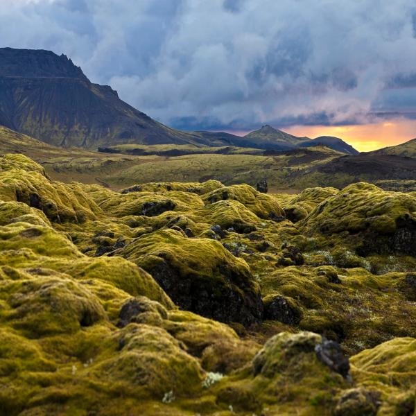 Panoramic view of a vibrant green mossy landscape with distant mountains under a dramatic sunset sky.