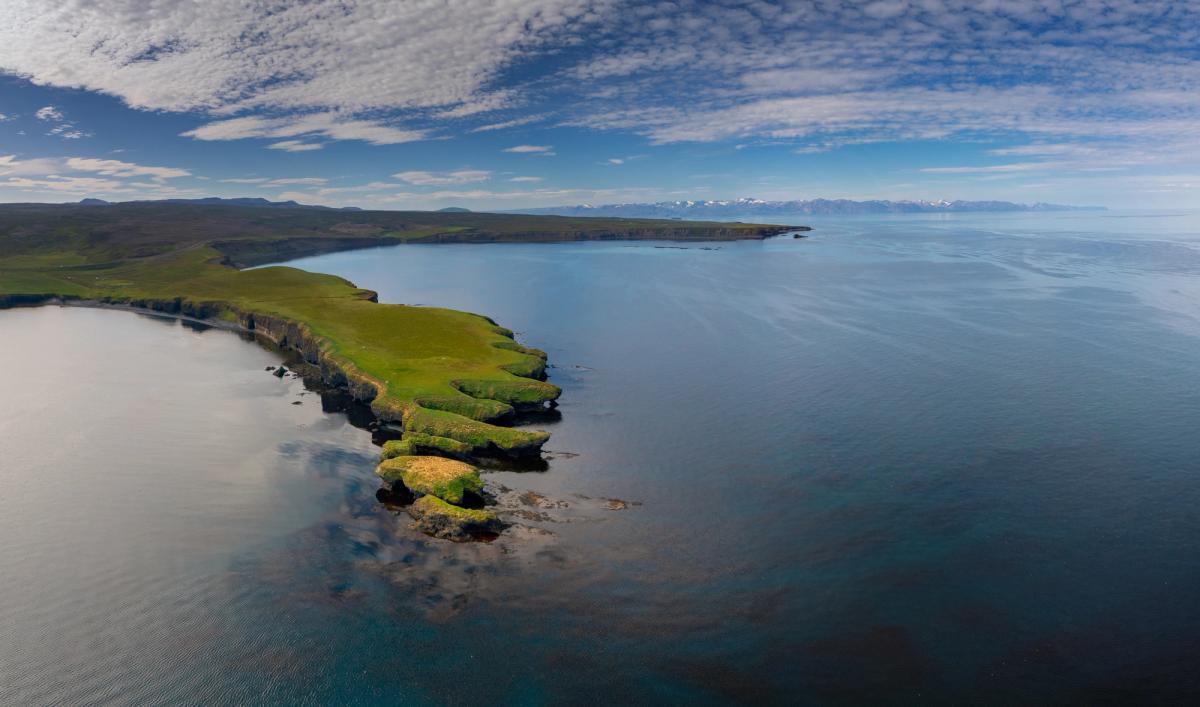 Aerial view of green coastal cliffs meeting a dark sea, with distant snow-capped mountains under a partly cloudy sky.