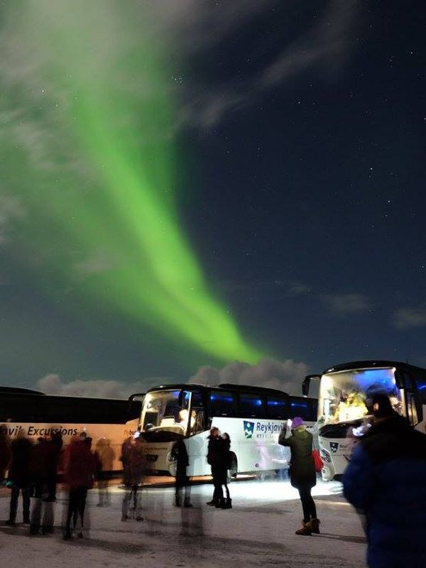 Un grupo de personas de pie frente a un autobús viendo la aurora boreal.