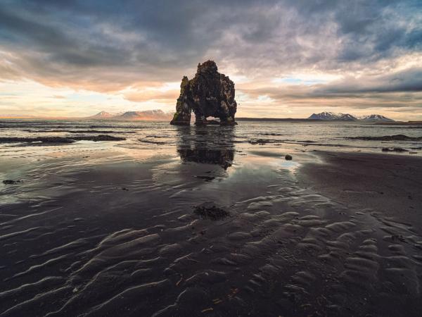 Forest Lagoon durante la aurora boreal