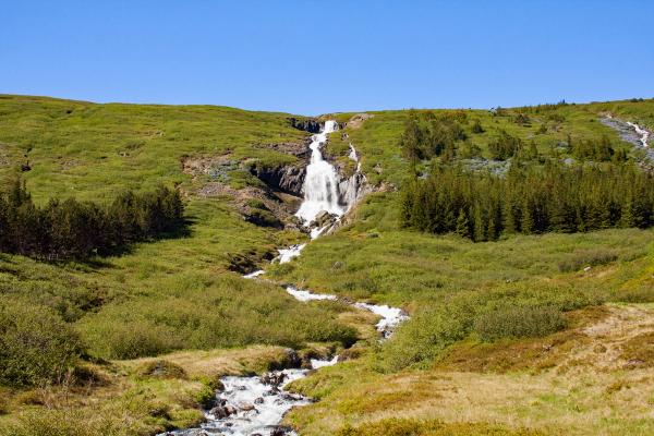 una pequeña cascada en un verde valle