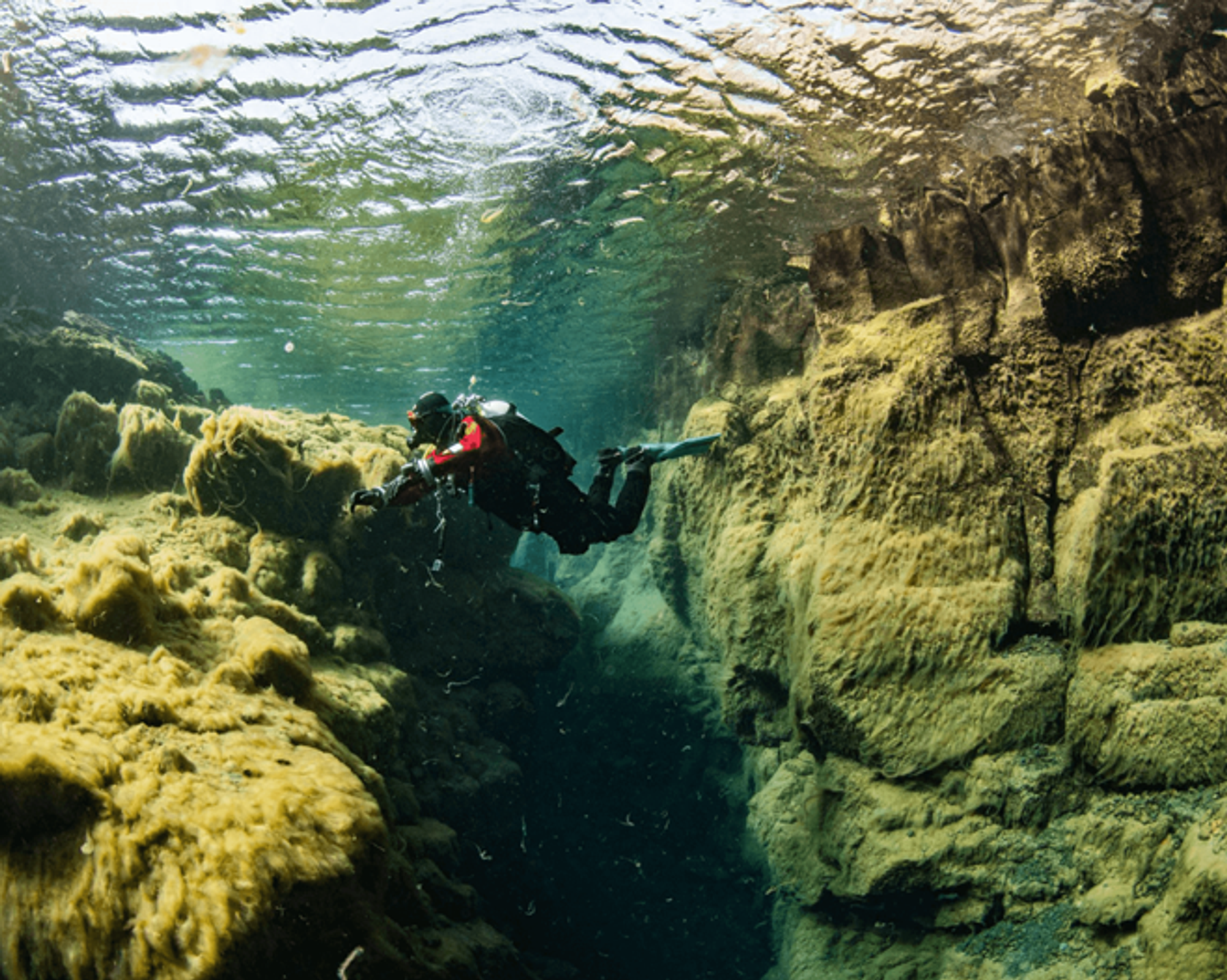A diver explores a narrow underwater crevice with green algae-covered walls.