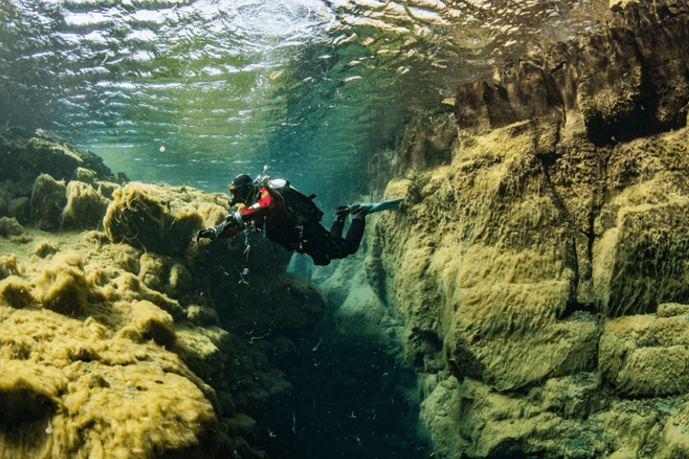 A diver explores a narrow underwater crevice with green algae-covered walls.