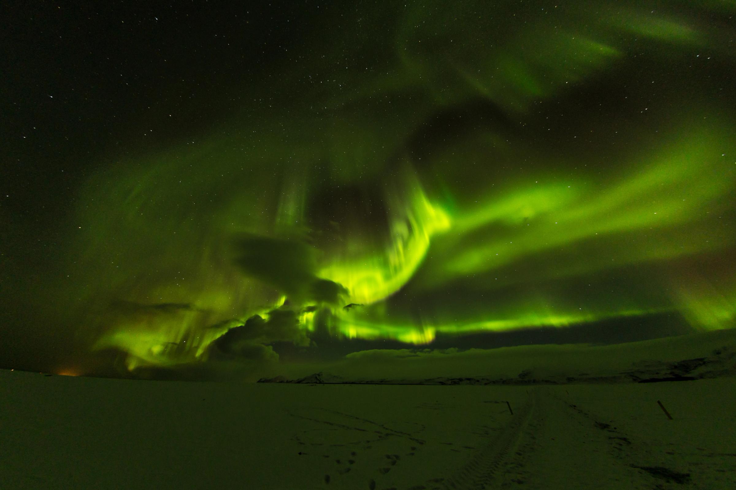 Una vibrante aurora boreal verde ilumina el cielo oscuro sobre un paisaje cubierto de nieve.