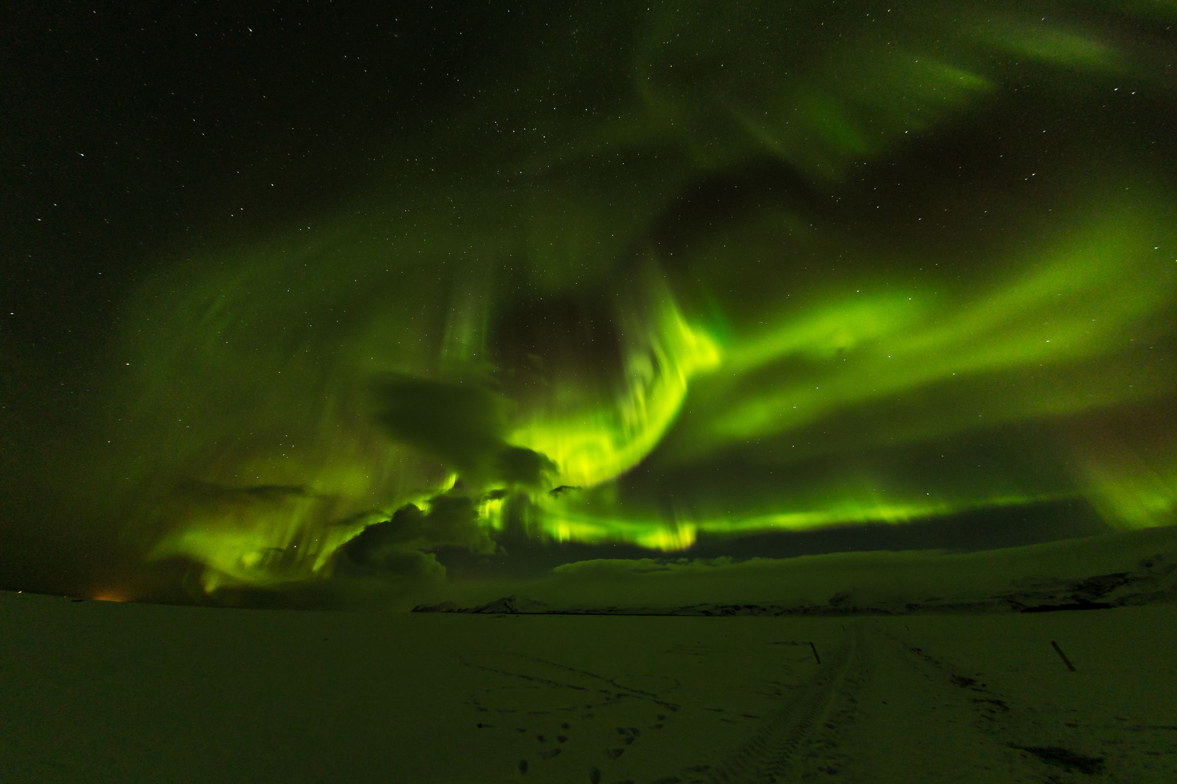 Una vibrante aurora boreal verde ilumina el cielo oscuro sobre un paisaje cubierto de nieve.