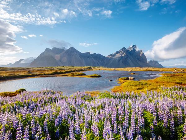 Sunny landscape in Iceland