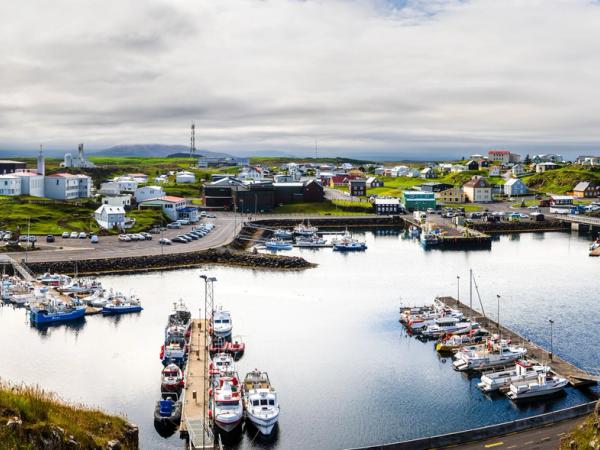Panoramic view of a town built around a curved harbor with numerous docked boats, surrounded by green hills.
