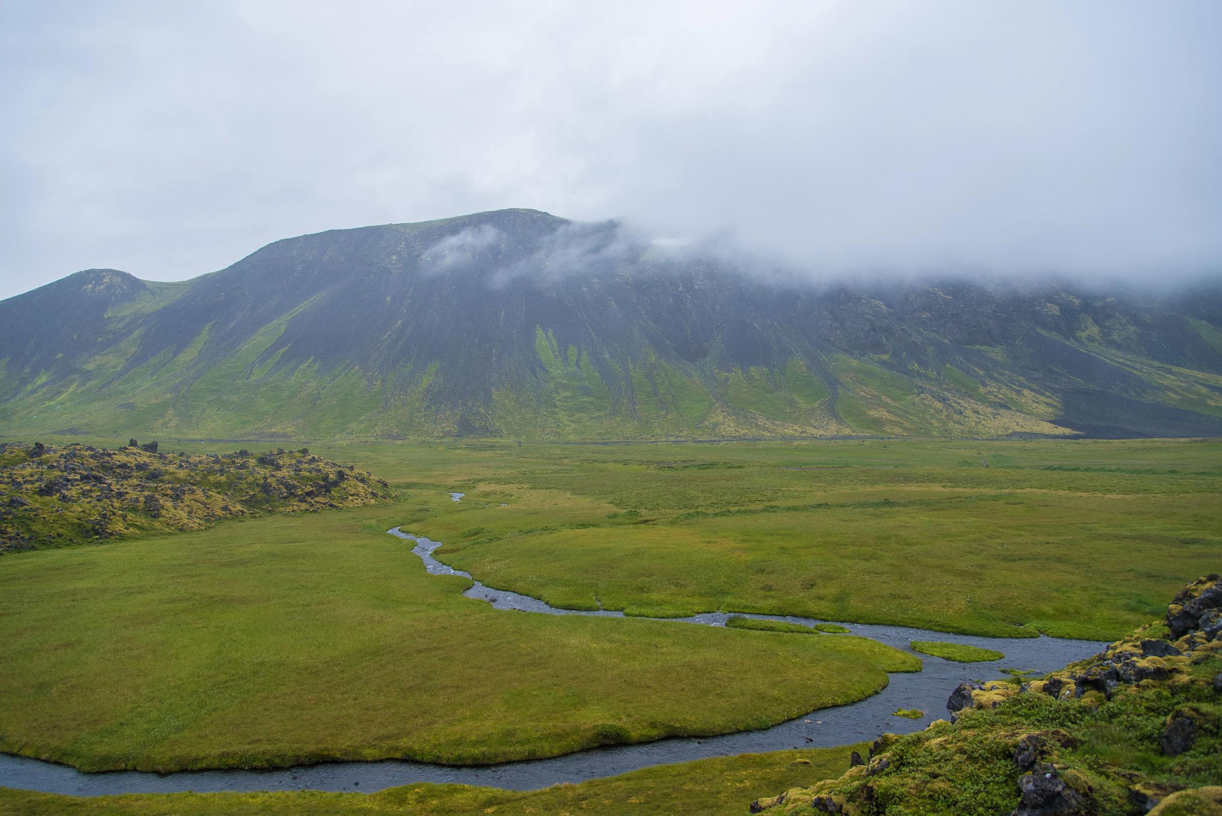 Hornstrandir Nature Reserve