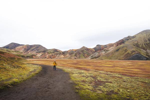 a person is standing on a dirt road in the middle of a field with mountains in the background .