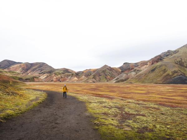 una persona está parada en un camino de tierra en medio de un campo con montañas en el fondo.