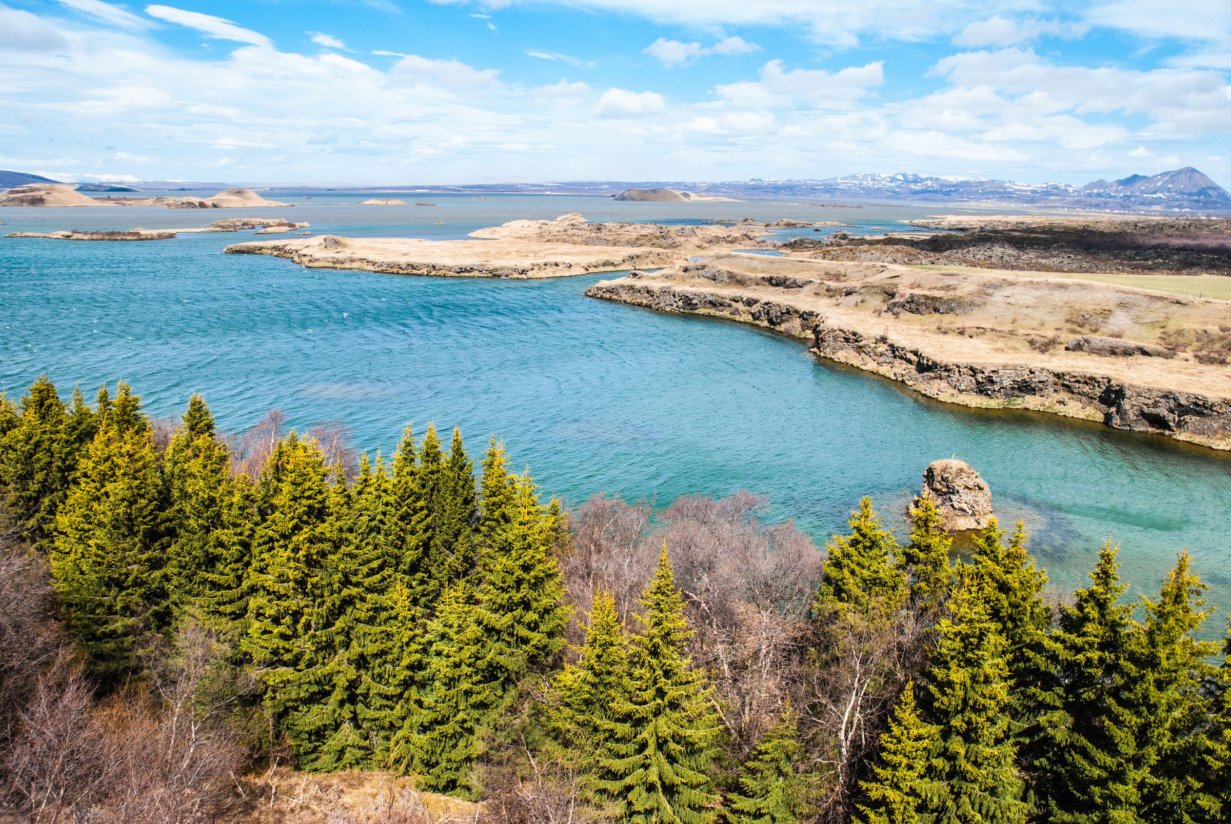 an aerial view of a lake surrounded by trees and mountains at lake myvatn in north iceland.